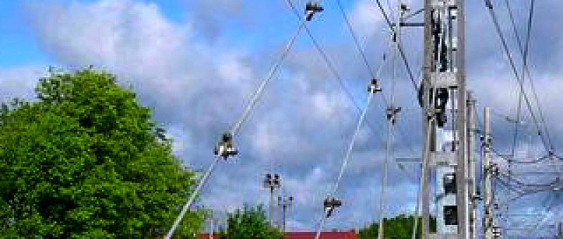 Оттяжки